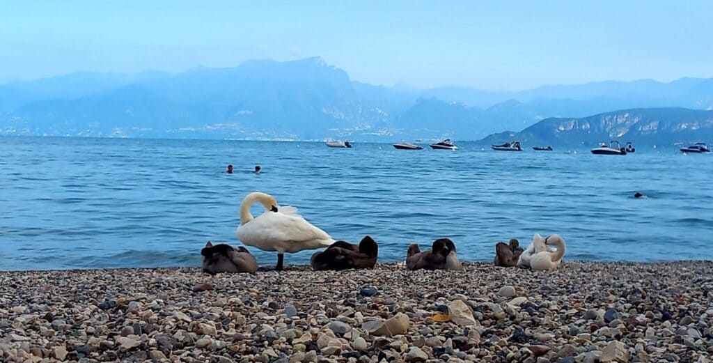 Lago di Garda, I Borghi del Lago, Viaggio con gli amici
