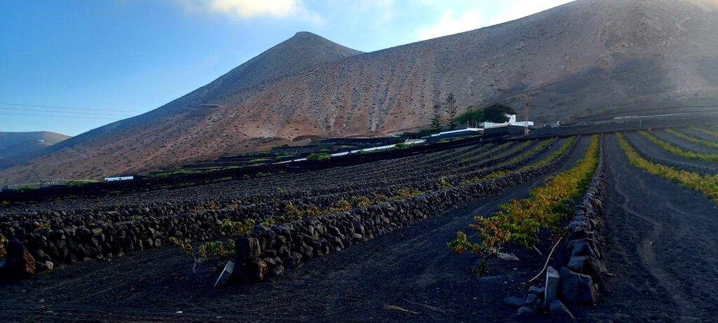 lanzarote, cosa fare In viaggio con gli amici