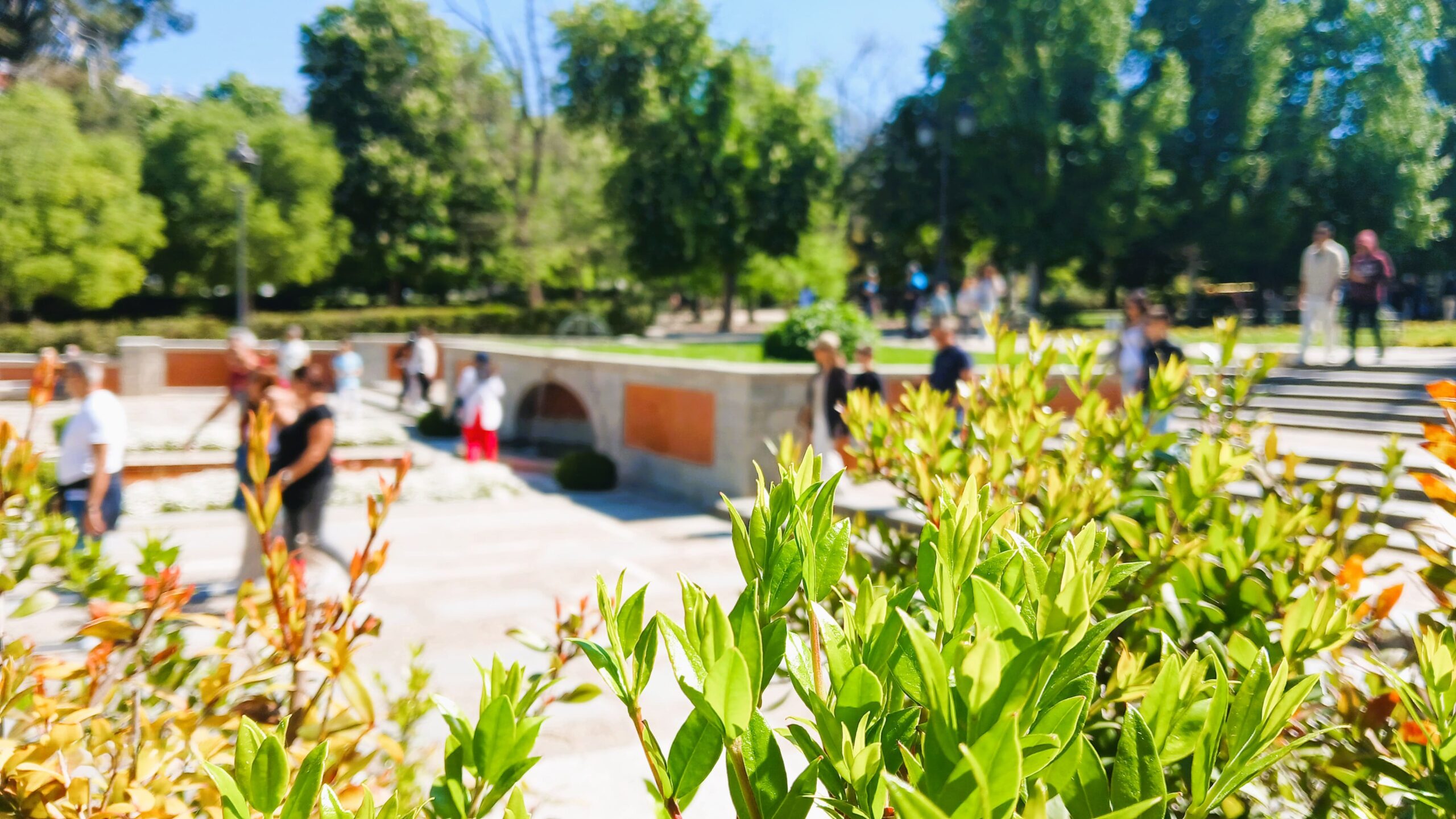 In Viaggio Con Gli Amici, Cosa Fare 3 giorni a Madrid, Il parco del Retiro